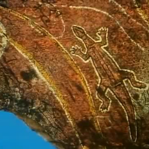 Solid Rock by Goanna