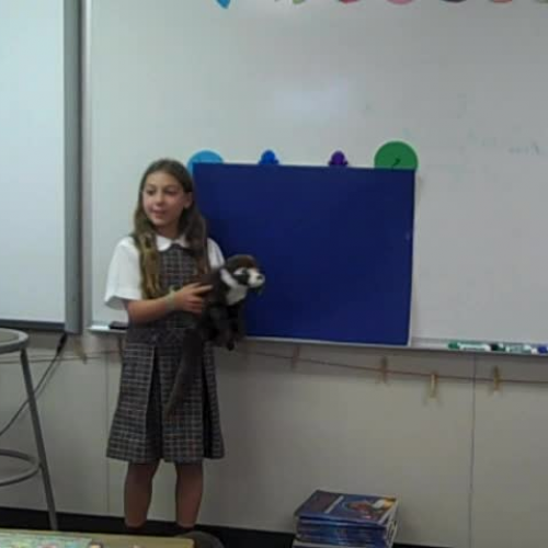 didomizio discovery quest