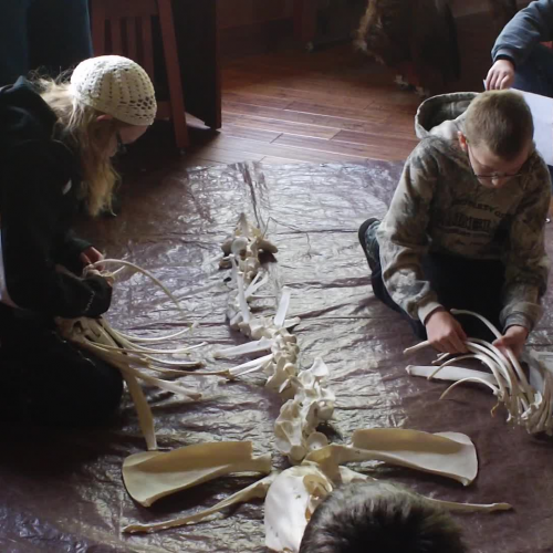 Elk Visitor Center 2