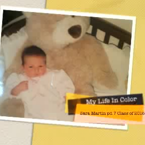 My Life in Color-Sara Martin period 7