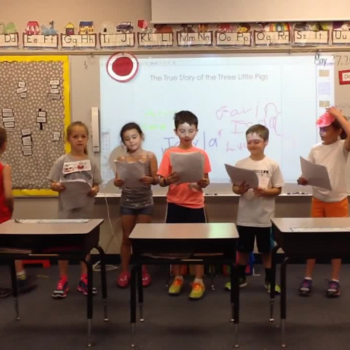 True Story of the Three Little Pigs