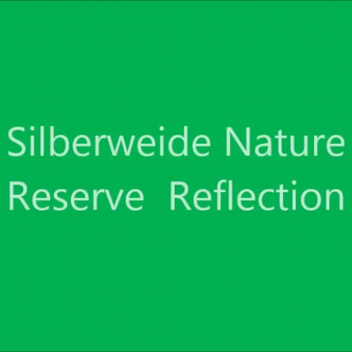 Field Trip Reflection