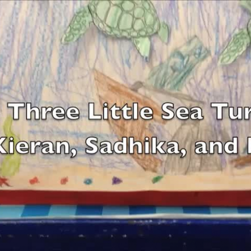 The Three Little Sea Turtles