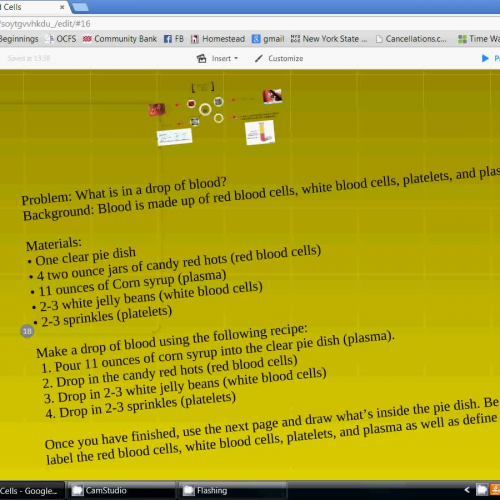 Web 2.0 Presentation - Prezi