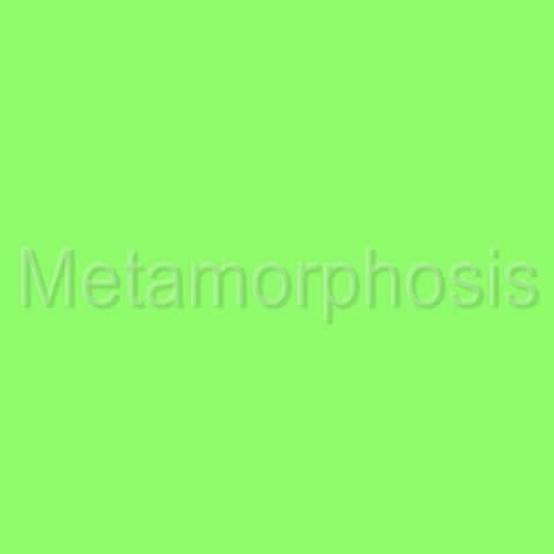 Metamorphosis