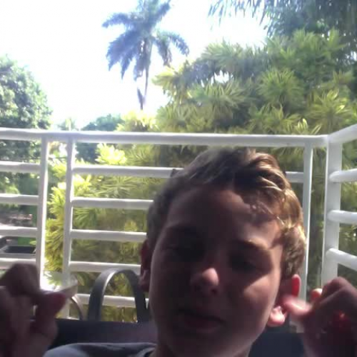 03.02 Describe the Family Visual Presentation: 