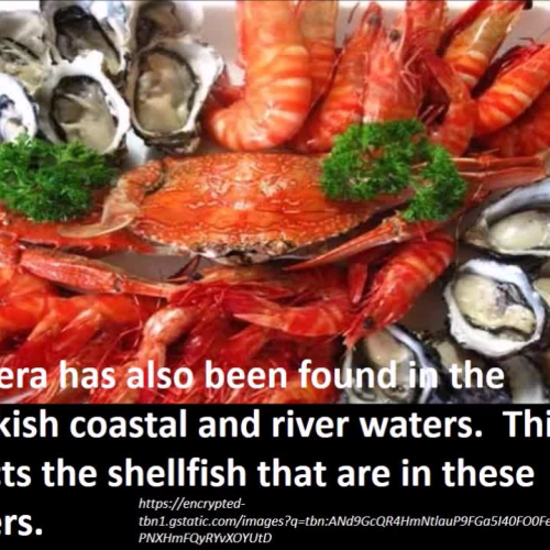 Cholera Public Service Annoucement