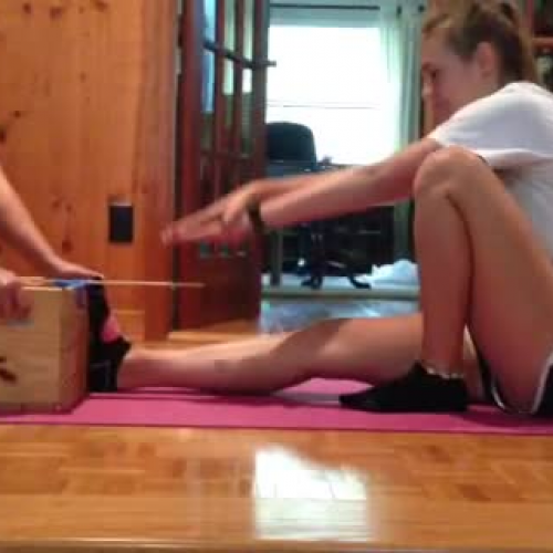 Sit and Reach Fitness assesment