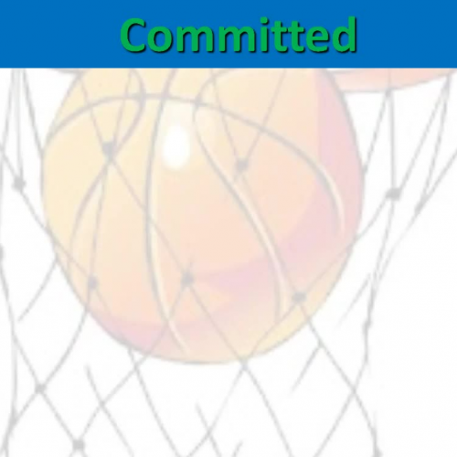 Lesson #3 - Committed