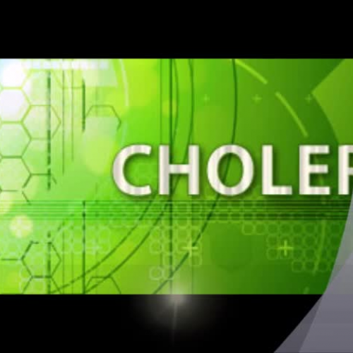 Cholera 