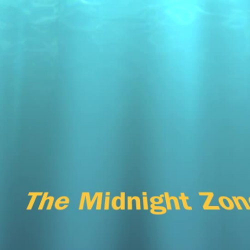 The Midnight Zone