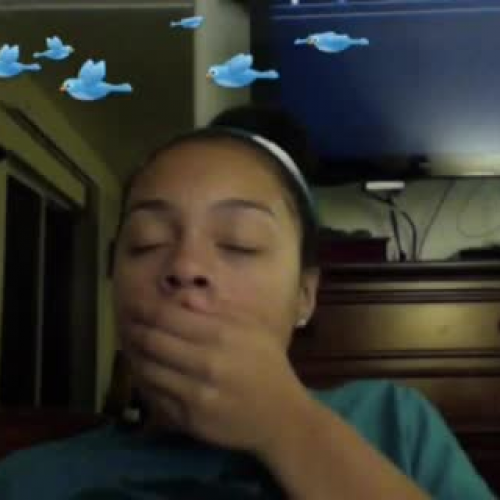 03.02 Describe the Family Visual Presentation