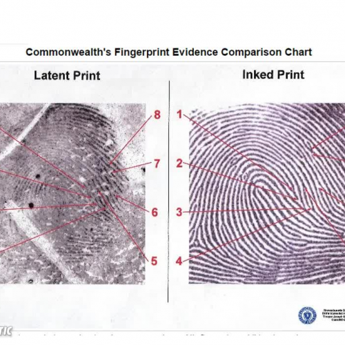 The Importance of Relative Position 