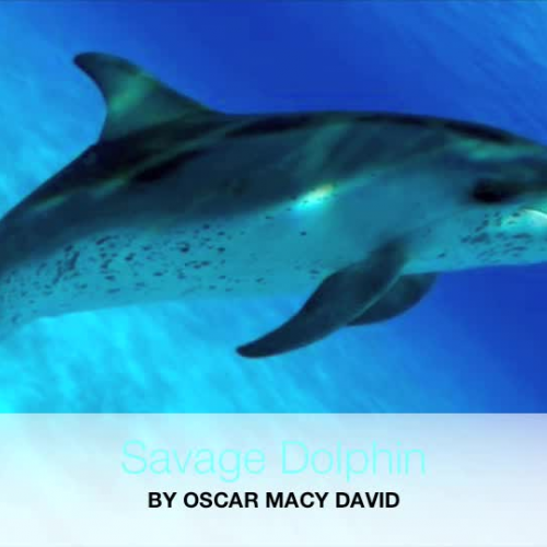 Savage Dolphin