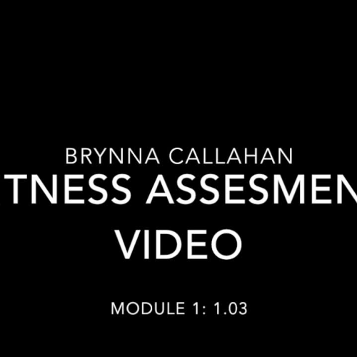 HOPE fitness assessment video: Brynna Callahan