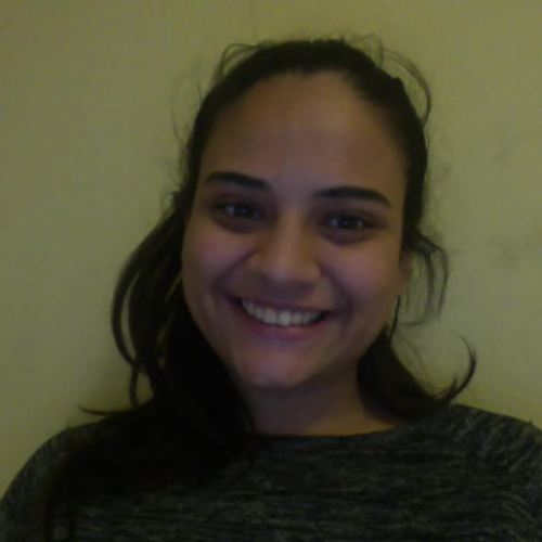 03.02 Describe the Family Visual Presentation