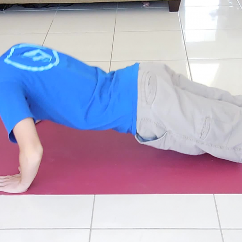 Hope push ups module 1