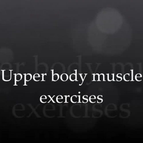 Upper/Lower Body Exercises