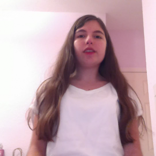 03.02 Describe the Family Visual Presentation