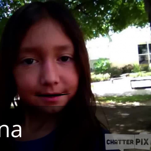 Interview at San Antonio Human Society 