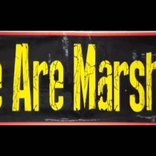 PreK - What We Learned This Year