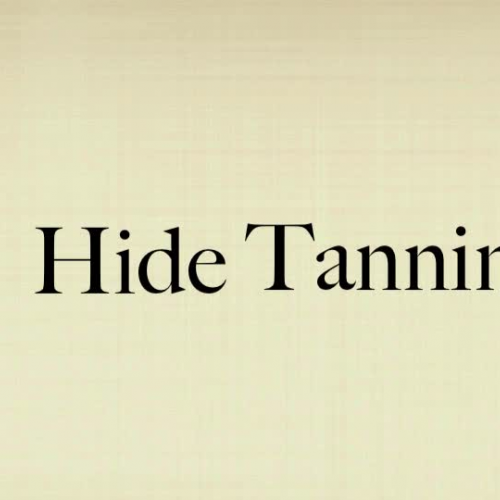 Hide Tanning - Cecelia