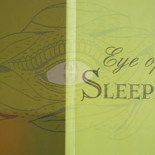Eye of the Sleeping Dragon by Michael Schaible Book Trailer