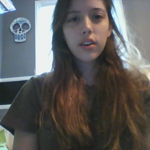 Online Spanish 1 Module 3 Visual Assignment 