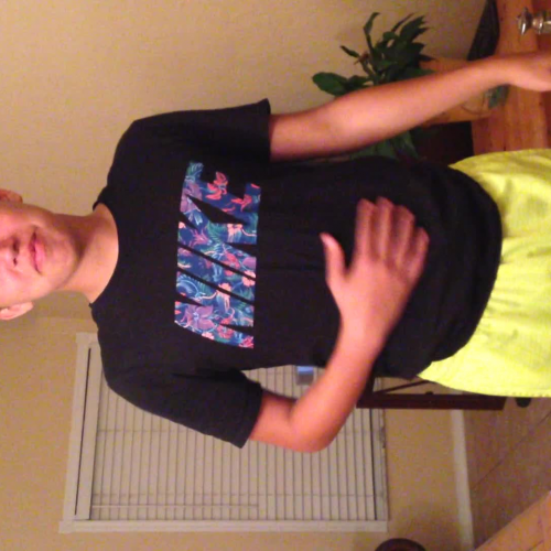 3.02 describe the family visual presentaiton