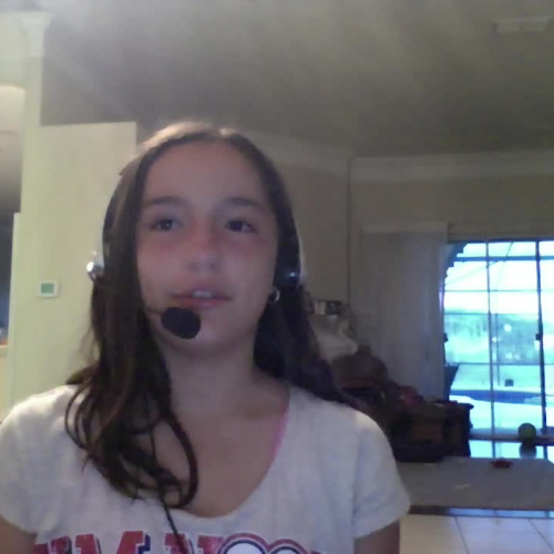 Spanish 1 Forsyth 3.02