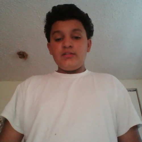  03.02 Describe the Family Visual 