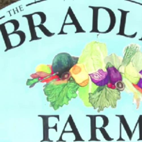 Bradley Farm