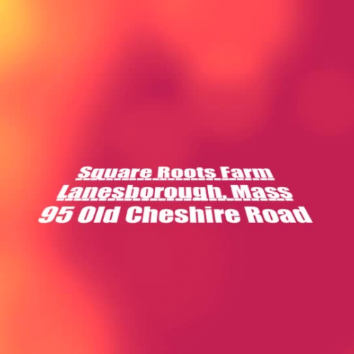 Square Roots Farm