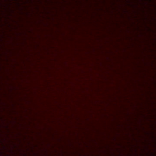 03.02 describe the family visual representation