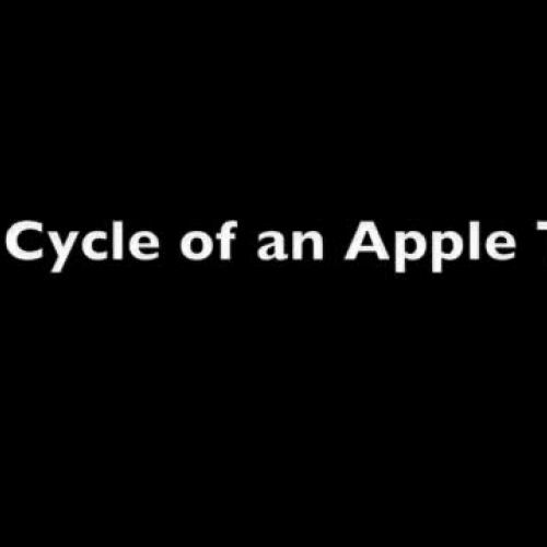 Life Cycle of an Apple Tree