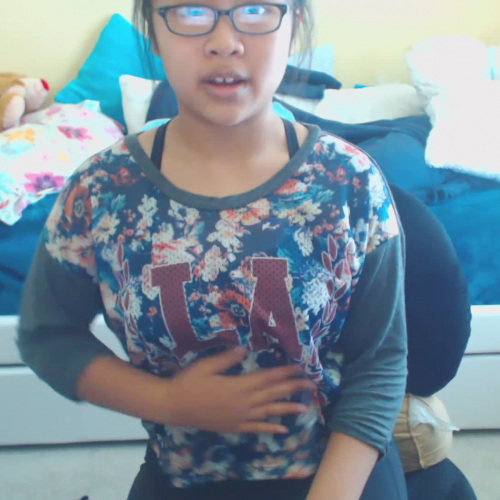 3.02 Describe the Family Visual Presentation 