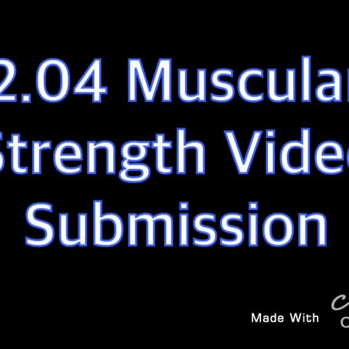 2.04 Muscular Strength Video