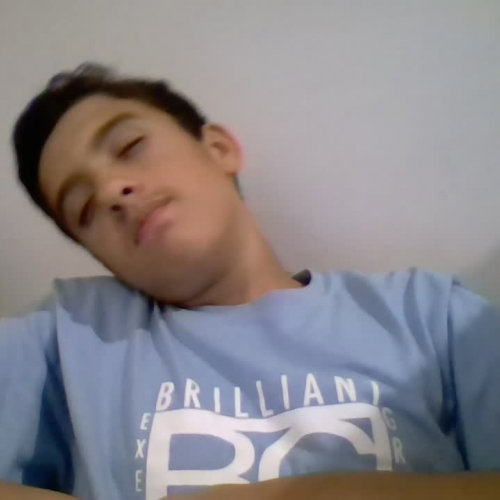 03.02 Decribe The Family Virtual Presentation