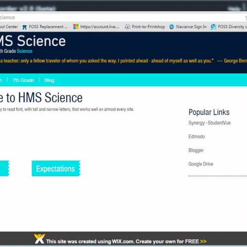 Project Reflection Blog