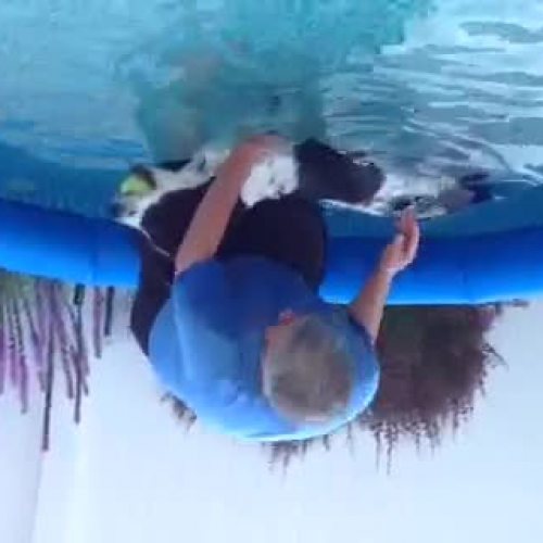 Upside Down Swimming with Little Louie