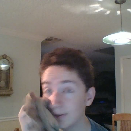 FLVS Spanish 3.02 Describe the Family Visual Presentation