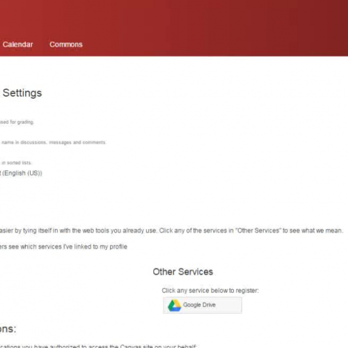 Profile Picture in Canvas