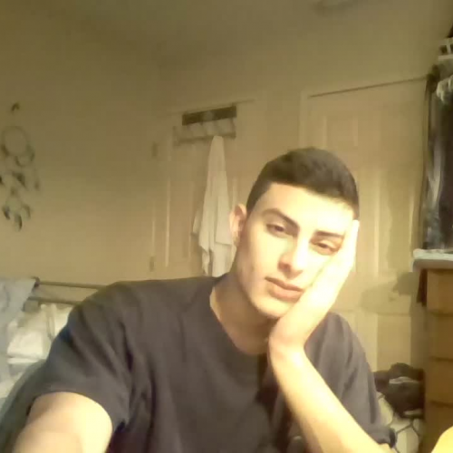 03.02 Describe the Family Visual Representation- Nicolas Mora