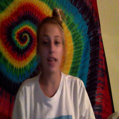 3.02 describe the family visual presentation