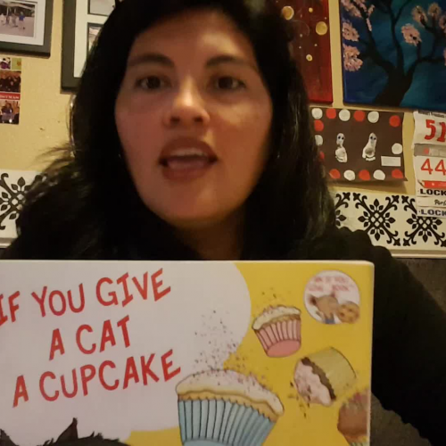 Class library- If you give a cat a cupcake