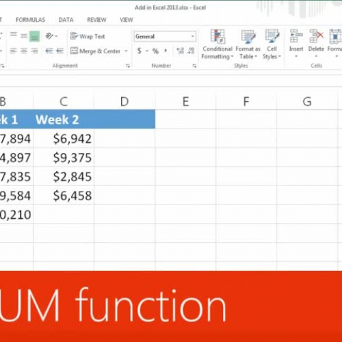 The SUM function