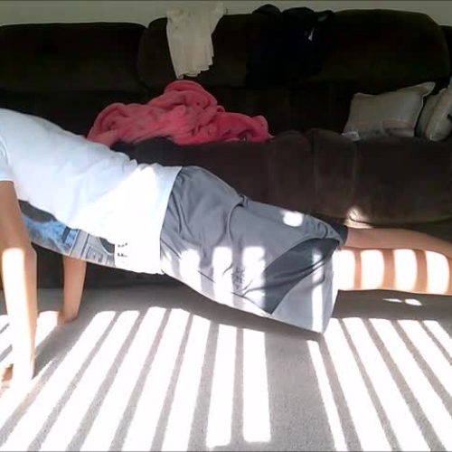 HOPE Fitness Assessment: Push-ups and Curl- Ups