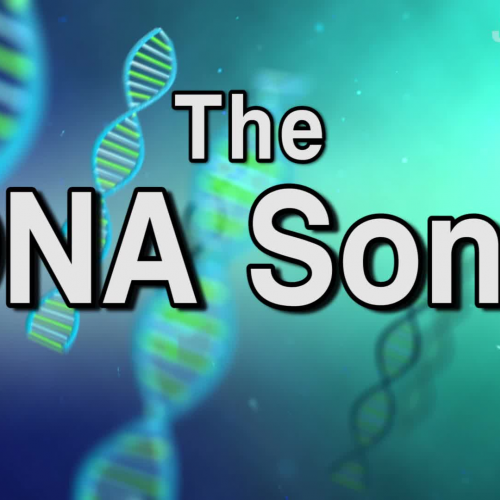 The DNA Song (Parody of Fetty Wap - Trap Queen) 