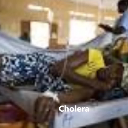 week 5 assignment part 2