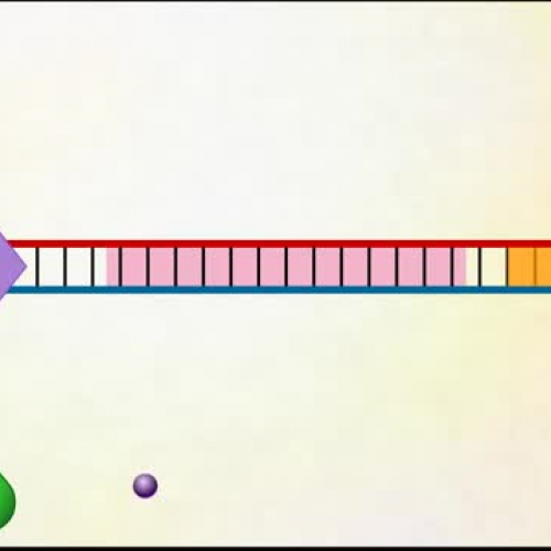 mRNA Synthesis: Transcription [HD Animation] 